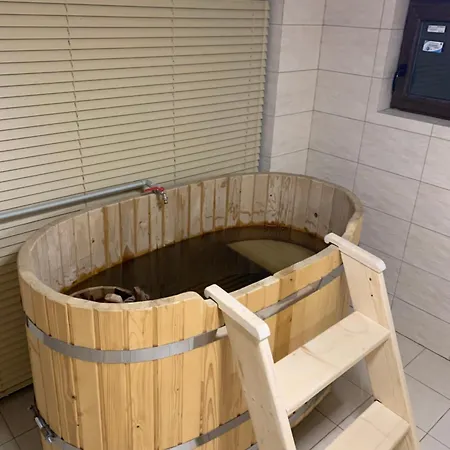 Вилла карпатский рай Яремча