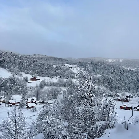 Вилла карпатский рай *