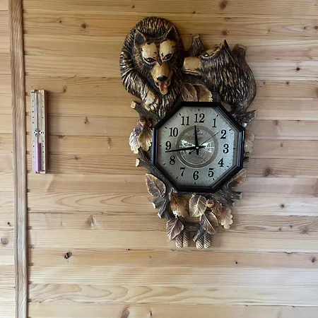 Вилла карпатский рай Яремча