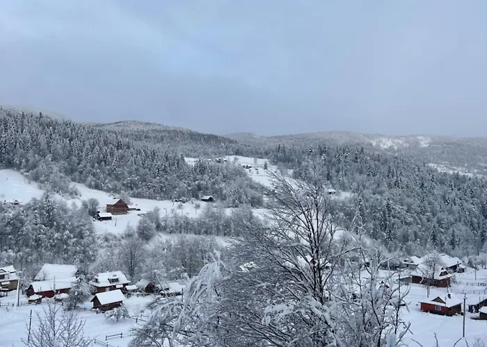 别墅 карпатский рай *